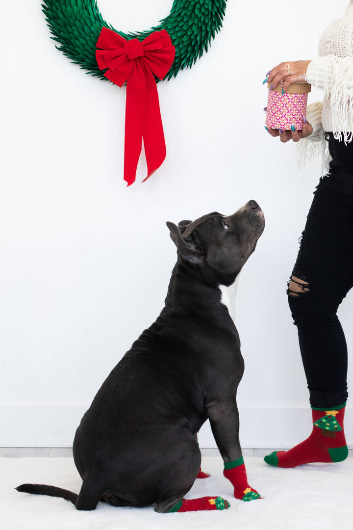 Pet Palette Distribution - Pearhead Holiday Tree Human and Dog Sock Set 2pc