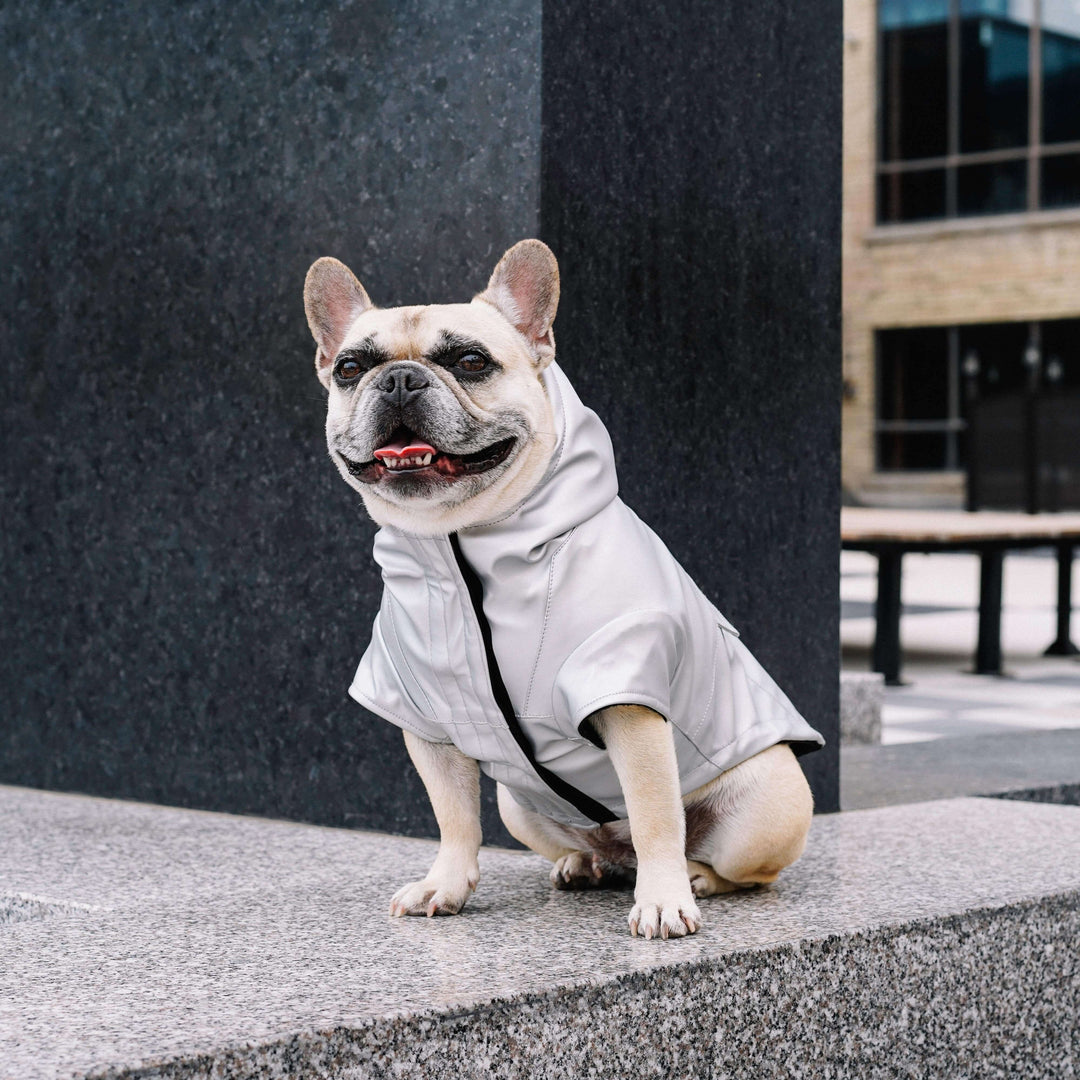 Canada Pooch - Cold Front Raincoat Orange