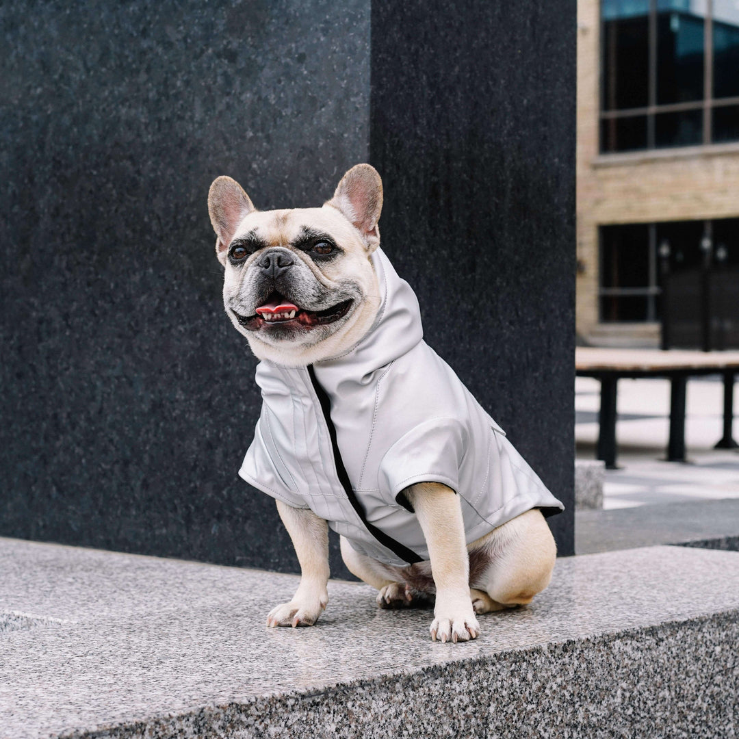 Canada Pooch - Cold Front Raincoat: Orange / 10