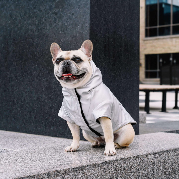 Canada Pooch - Cold Front Raincoat Orange