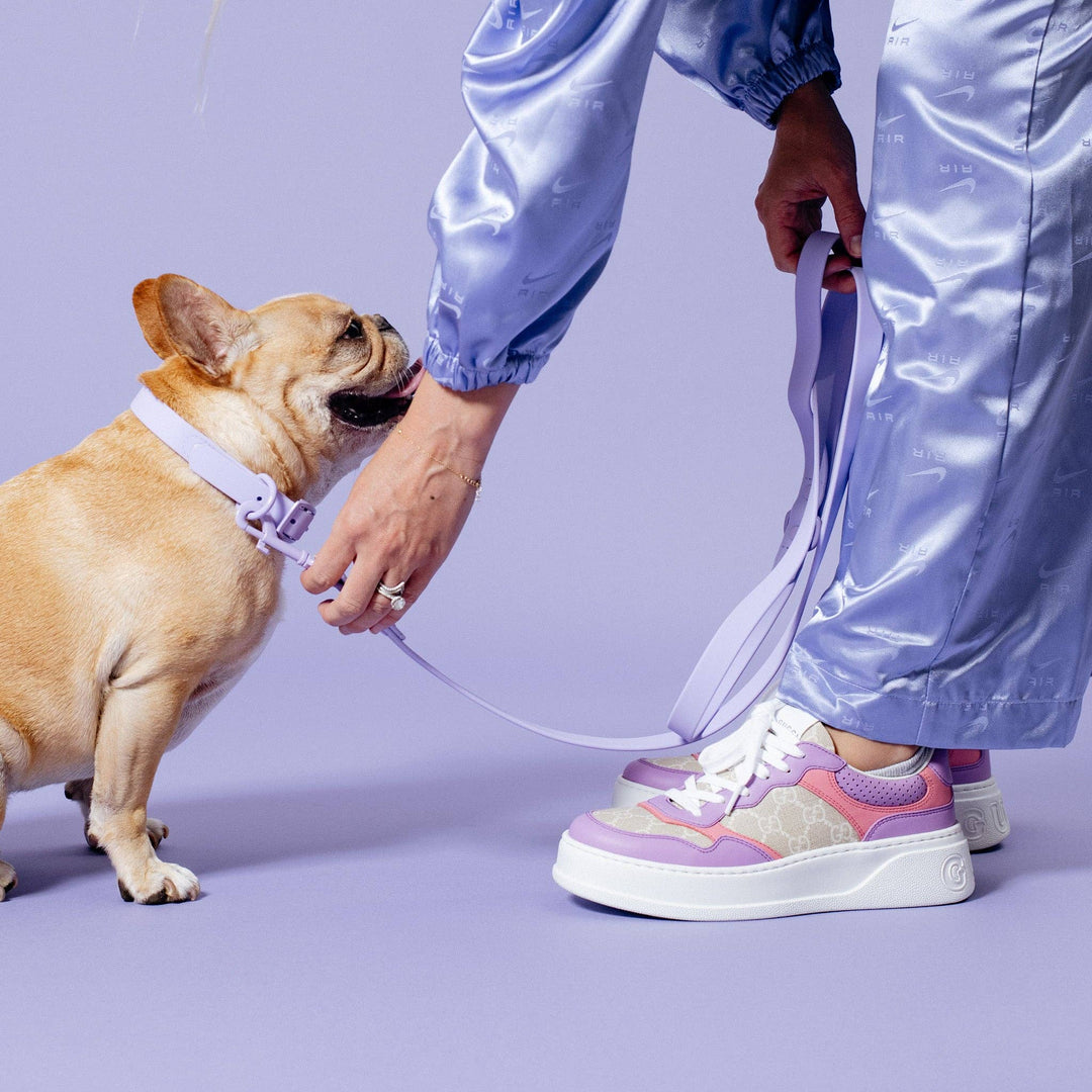 Frenchie - Frenchie Waterproof Leash - Violet: OS