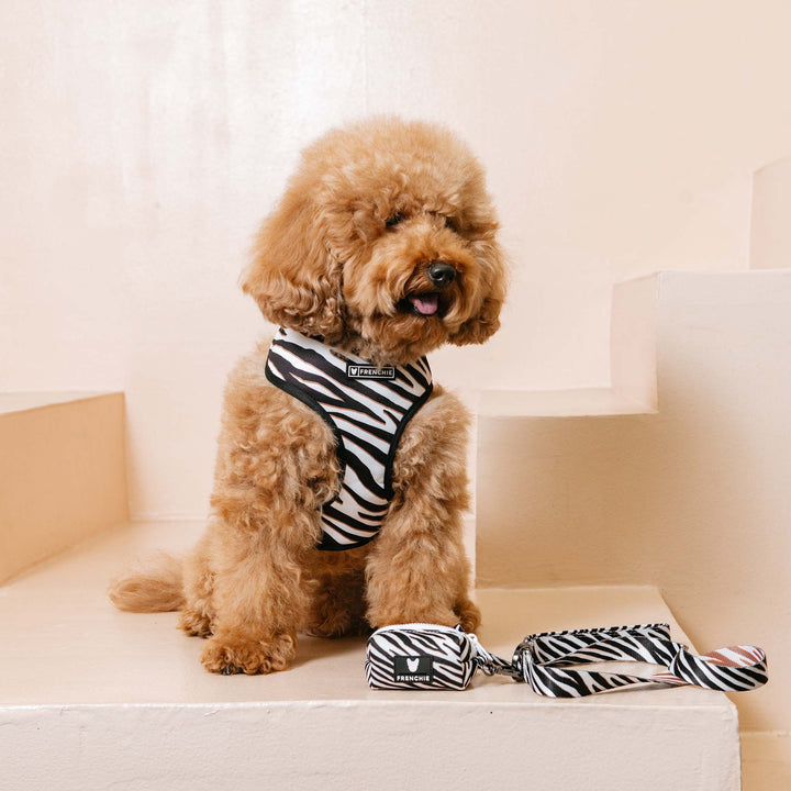 Frenchie - Frenchie Duo Reversible Harness - Zebra: Xsmall