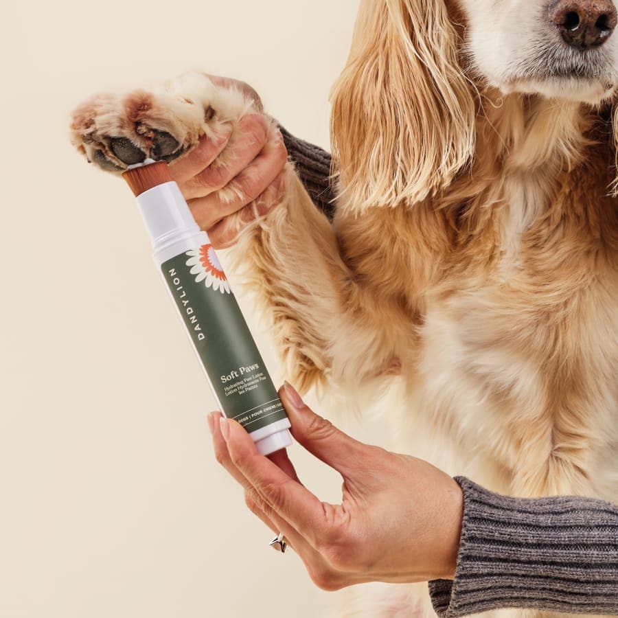 Dandylion - Soft Paws Hydrating Paw Lotion