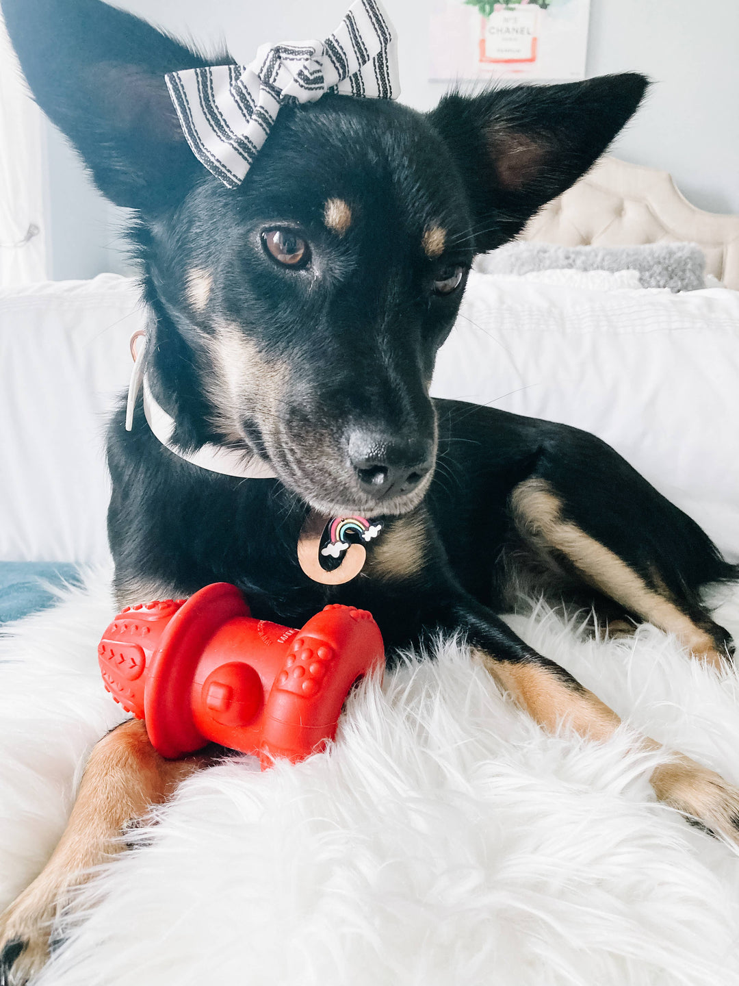 Spunky Pup - Double Wall Hydrant - Made in the USA: Large