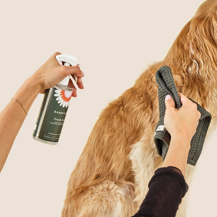 Dandylion - Fresh Coat Daily Cleansing Spray | Waterless No-Rinse Shampoo