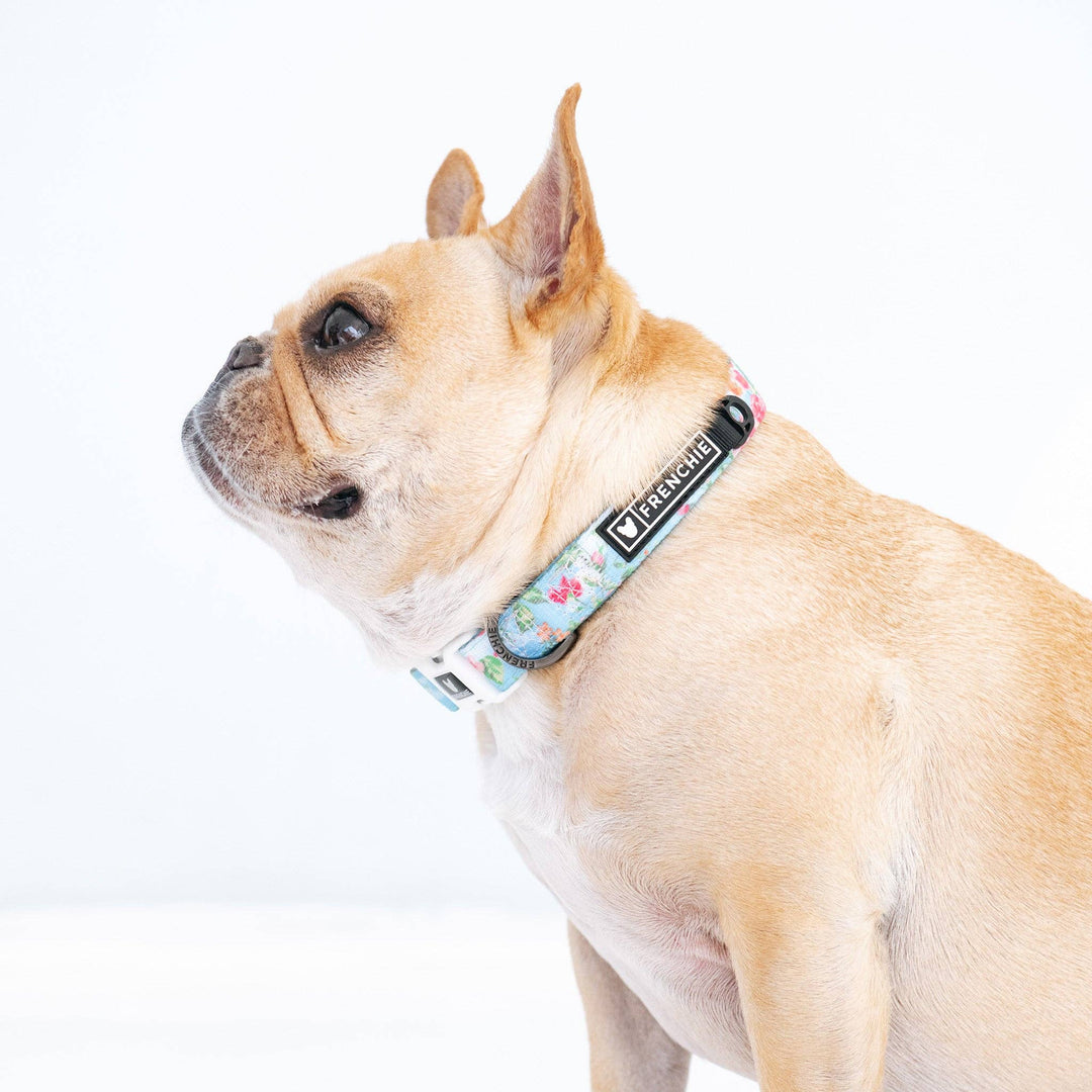 Frenchie - Frenchie Comfort Collar - Secret Garden: OS