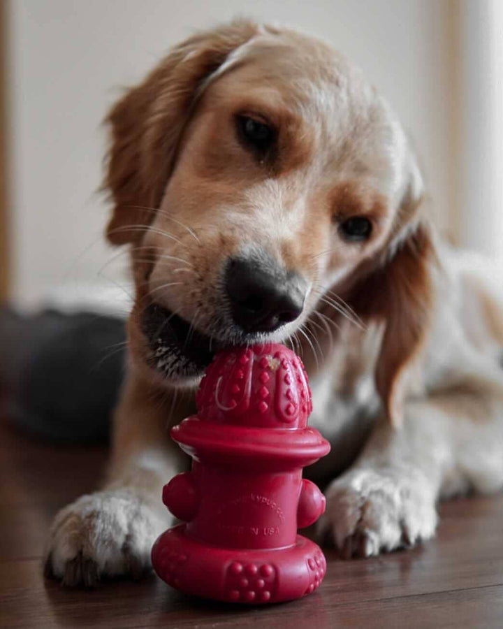 Spunky Pup - Double Wall Hydrant - Made in the USA: Large