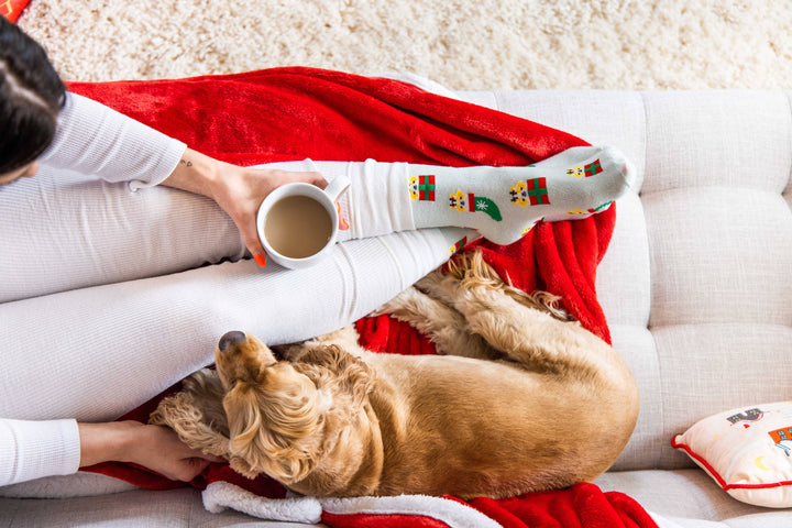 Pet Palette Distribution - Pearhead Corgi Holiday Socks Green One Size