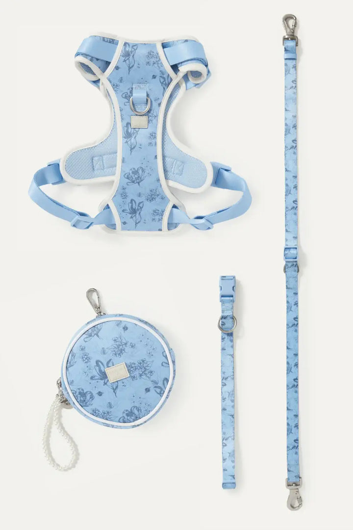 maxbone - Bridgerton x maxbone Walk Set for Dogs: Small