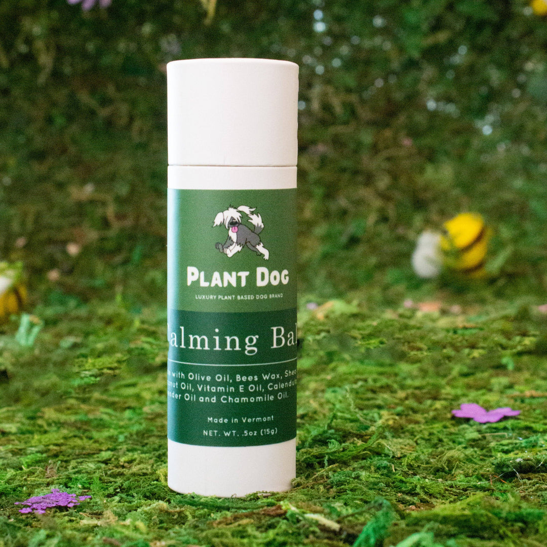 Plant Dog - Calming Paw Balm