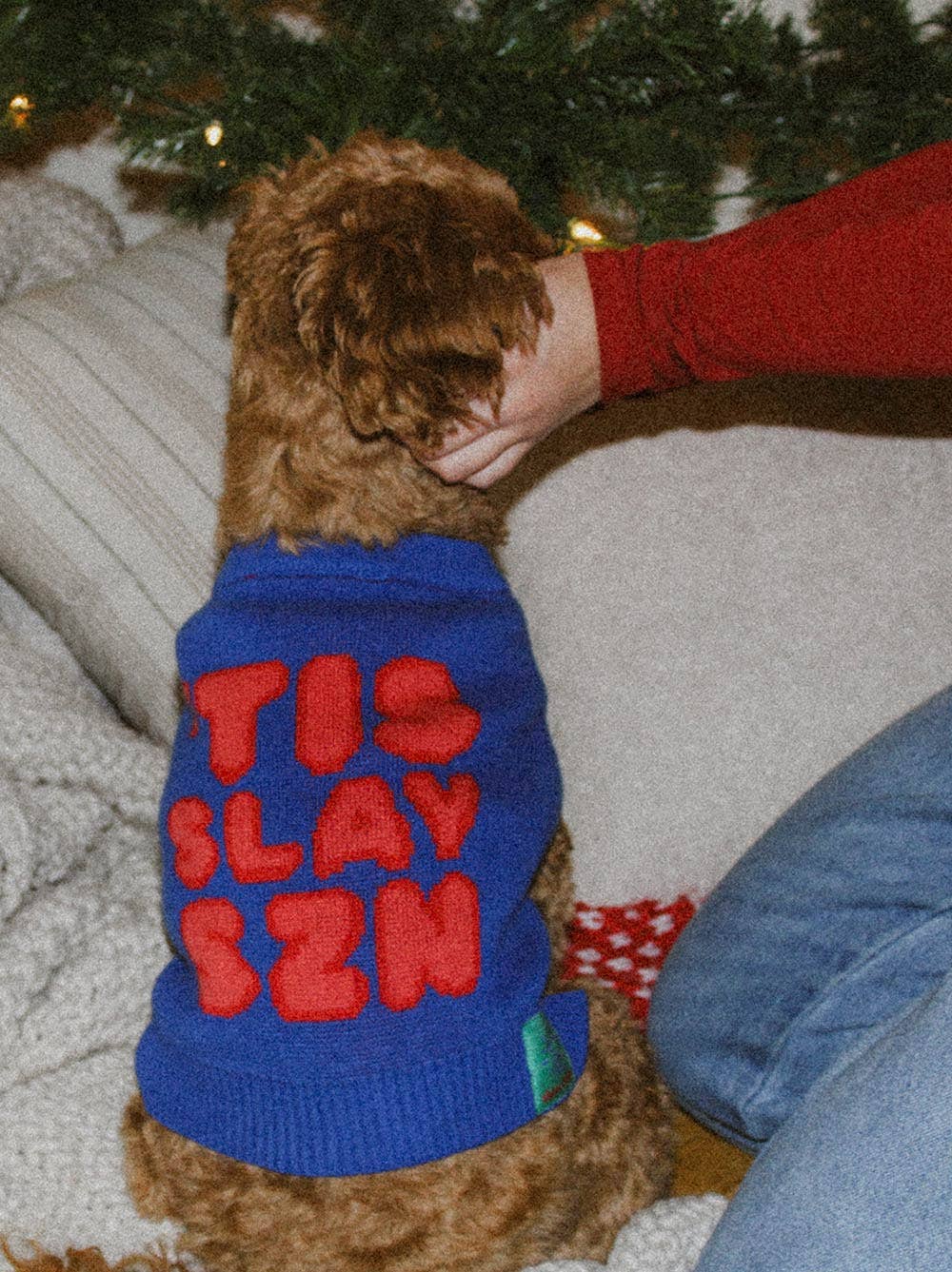 Good Thomas - 'Tis Slay Szn Sweater: Dog / S (11-16lb dog)