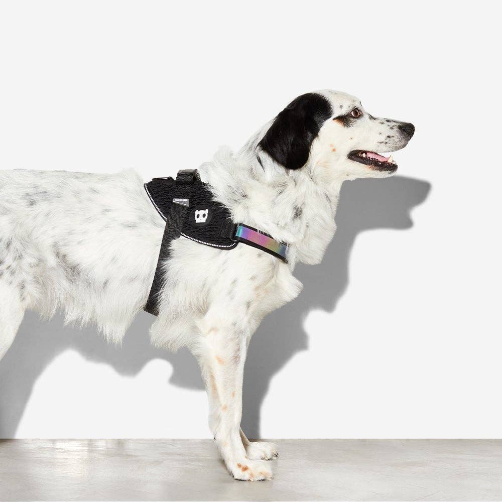 Zee.Dog - Gotham | FlyHarness: Size 4