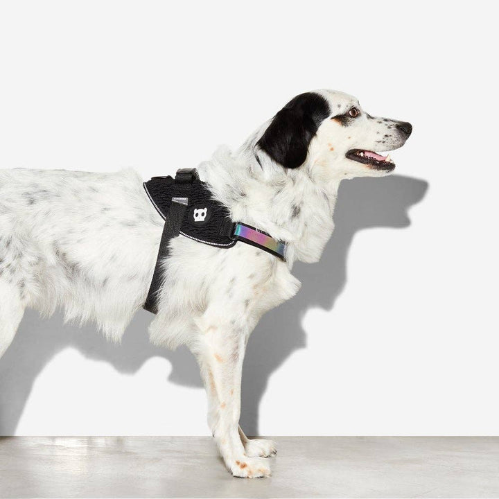 Zee.Dog - Gotham | FlyHarness: Size 4