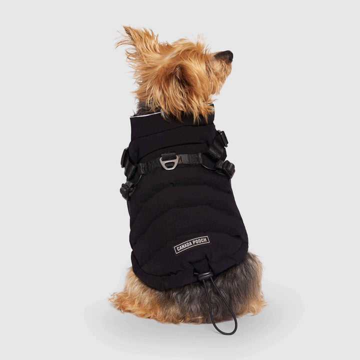 Canada Pooch - Harness Puffer: 8 / Black