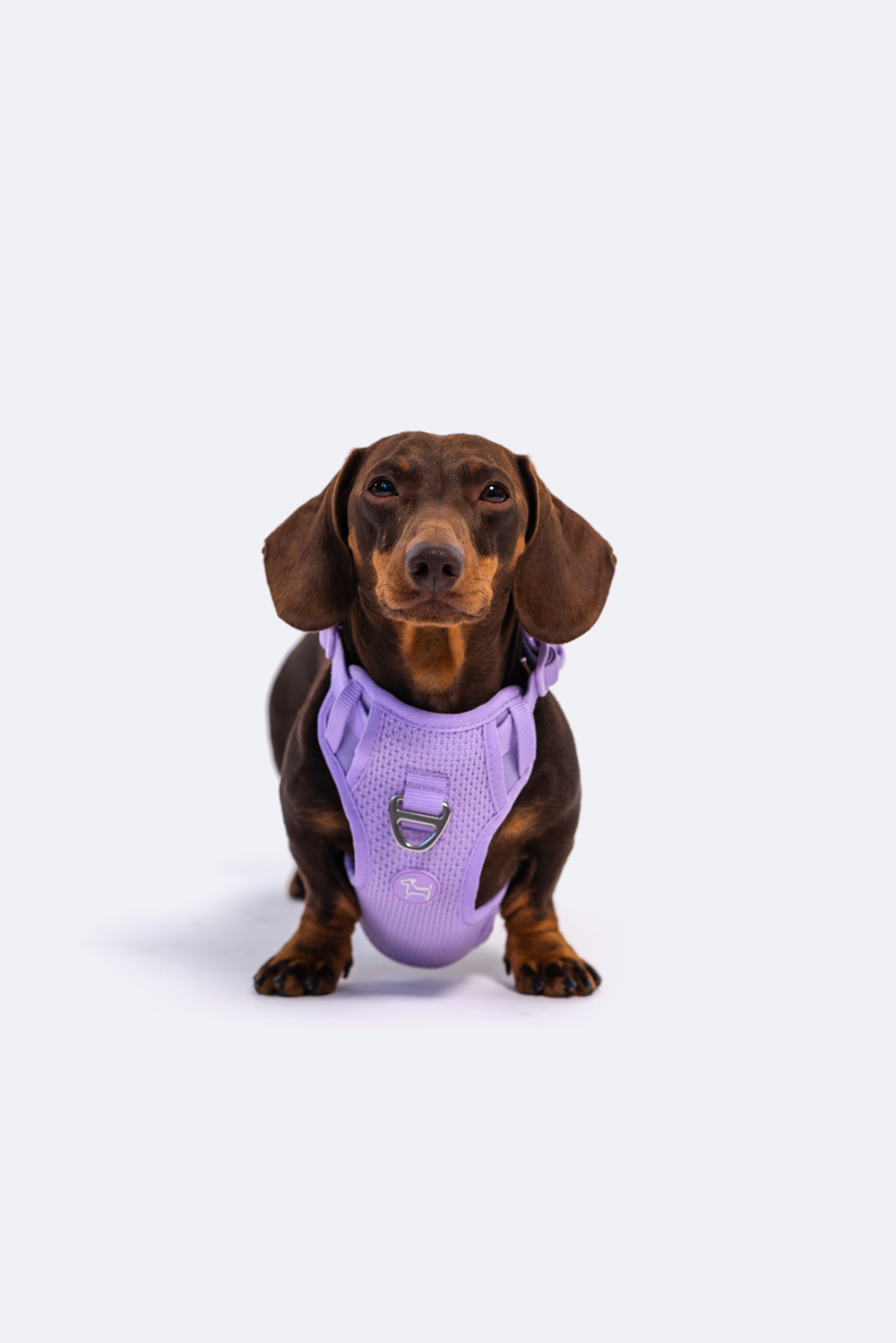 RIFRUF - Commuter Harness: Borough / S