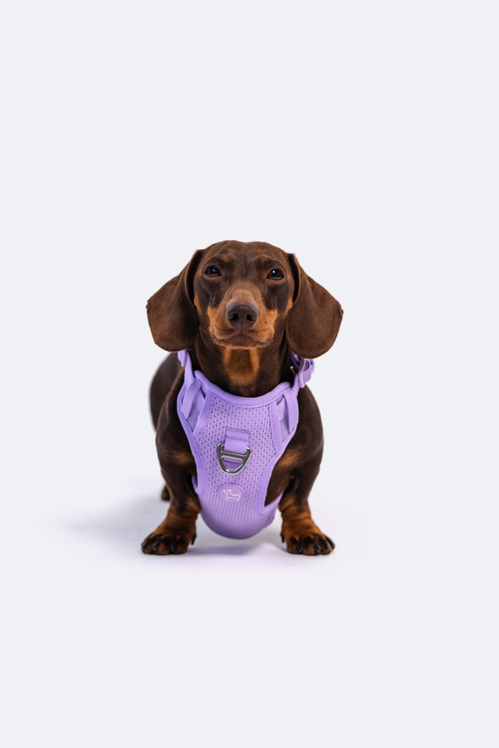 RIFRUF - Commuter Harness: Borough / S