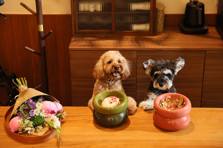 PEHOM - Soufflé Pet Bowl - Amber Orange