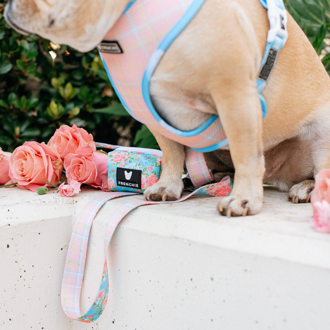 Frenchie - Frenchie Comfort Leash - Secret Garden: OS