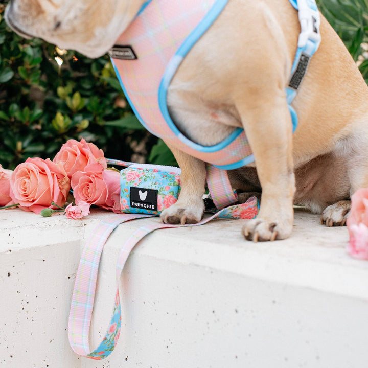 Frenchie - Frenchie Comfort Leash - Secret Garden: OS