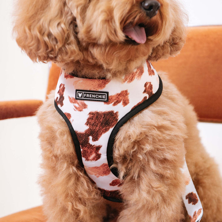 Frenchie - Frenchie Duo Reversible Harness - Moo: M