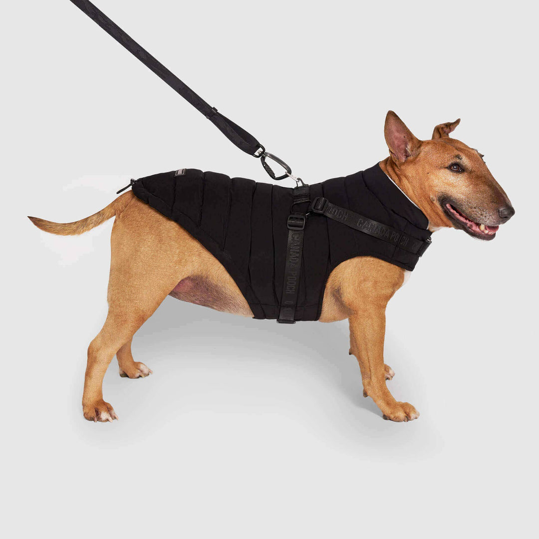 Canada Pooch - Harness Puffer: 8 / Black