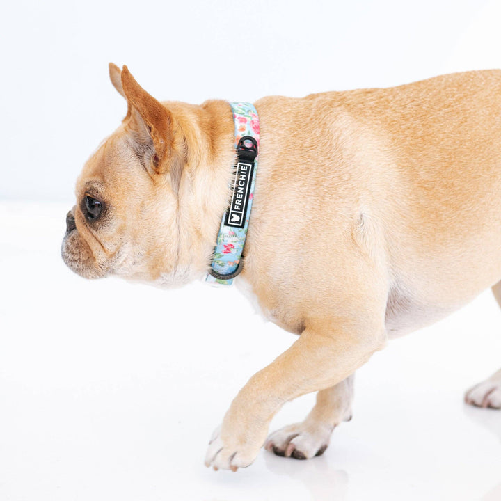 Frenchie - Frenchie Comfort Collar - Secret Garden: OS