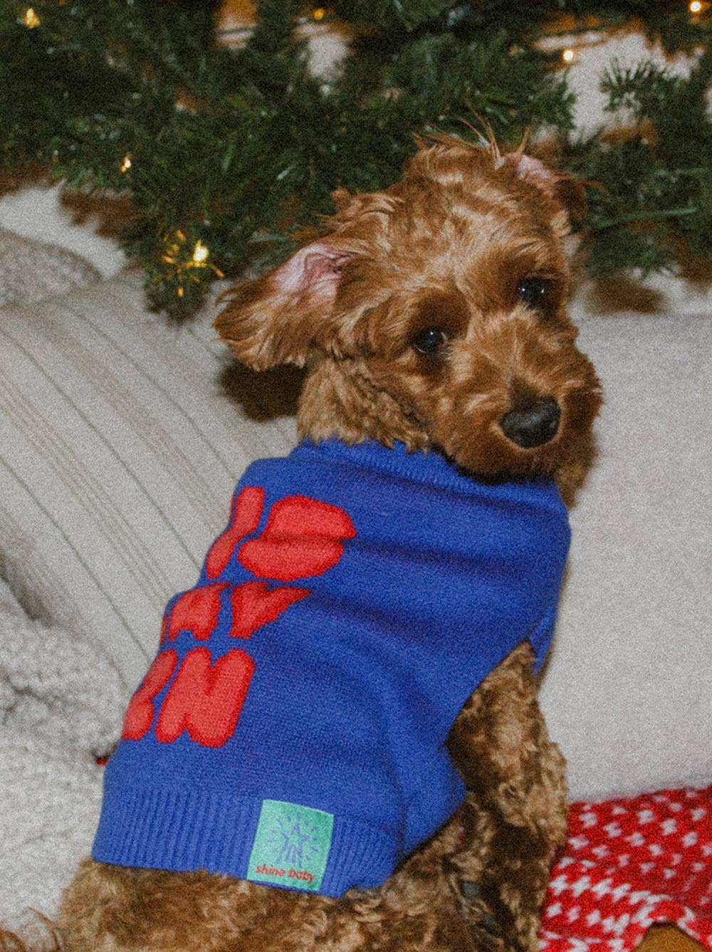Good Thomas - 'Tis Slay Szn Sweater: Dog / S (11-16lb dog)