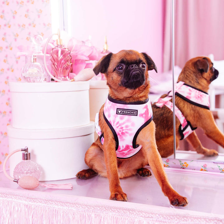 Frenchie - Frenchie Duo Reversible Harness - Pink Tie Dye: XS