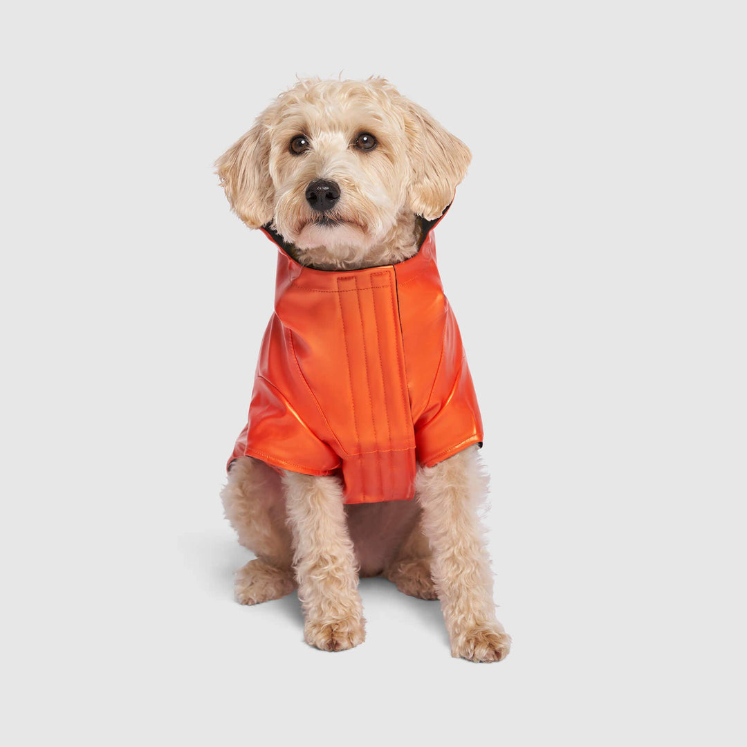 Canada Pooch - Cold Front Raincoat: Orange / 10