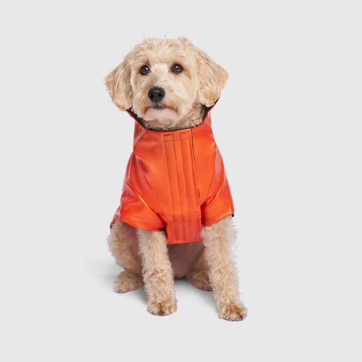 Canada Pooch - Cold Front Raincoat Orange
