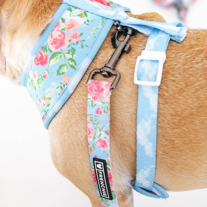 Frenchie - Frenchie Comfort Leash - Secret Garden: OS
