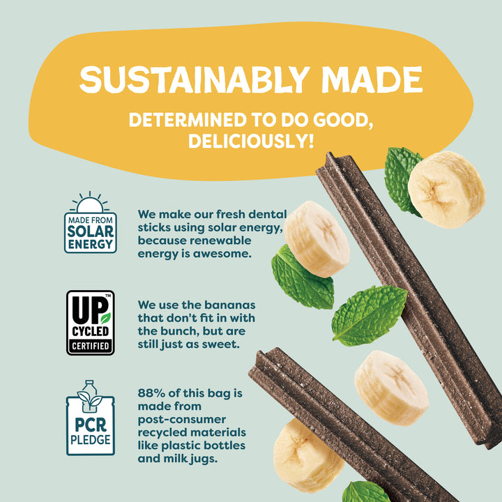 Shameless Pets - Banana Bone-anza Dental Sticks Dog Treats