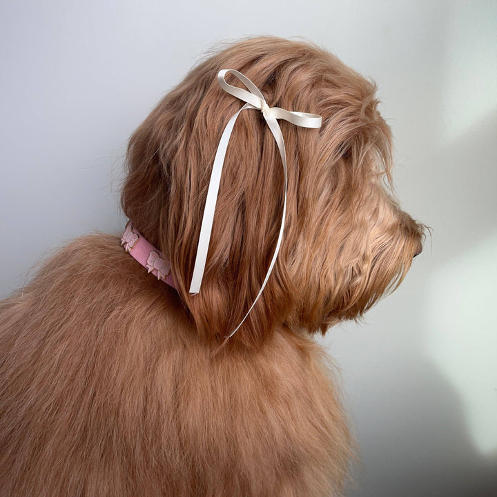 Furei Pets - So Coquette Collar: L / Tulip