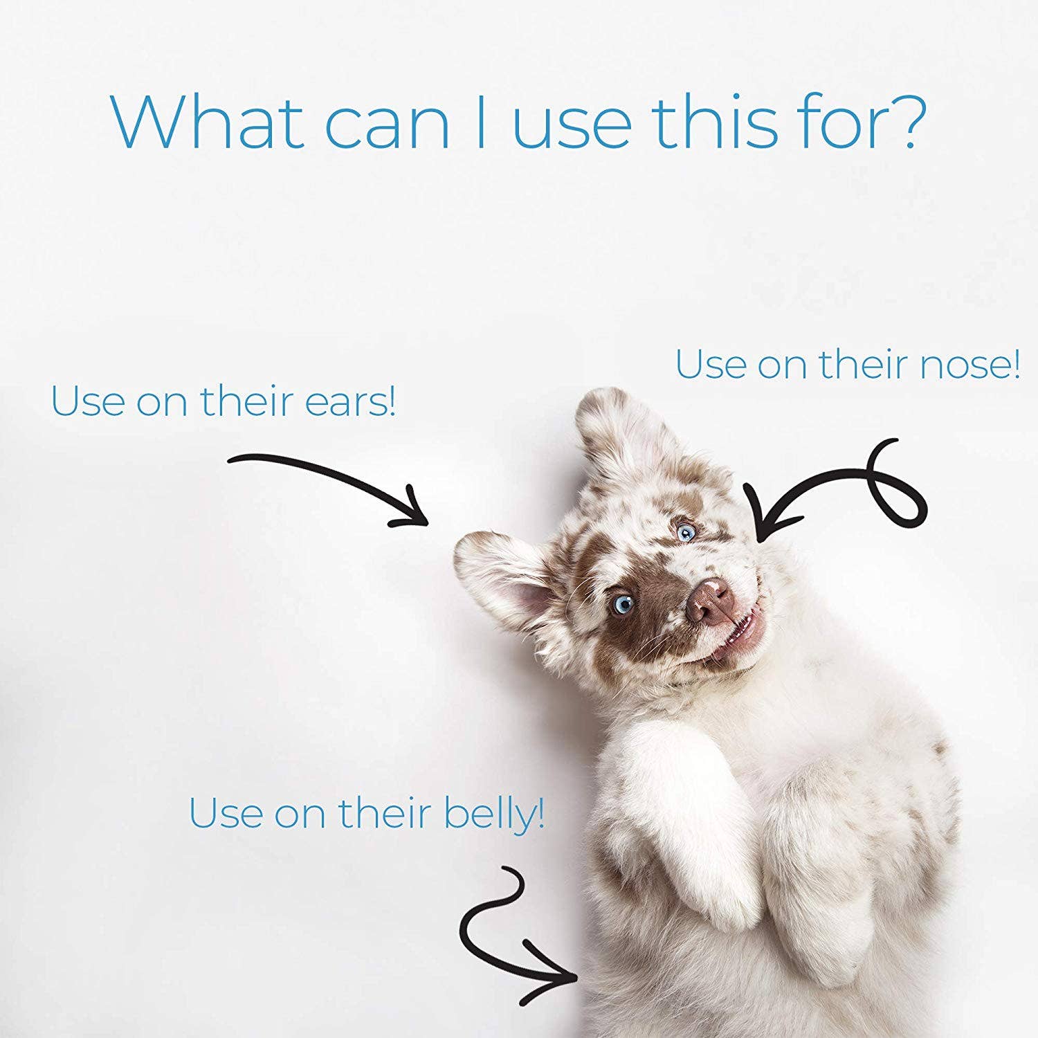 Klearwater Distribution My Dog Nose It! Moisturizing Sun