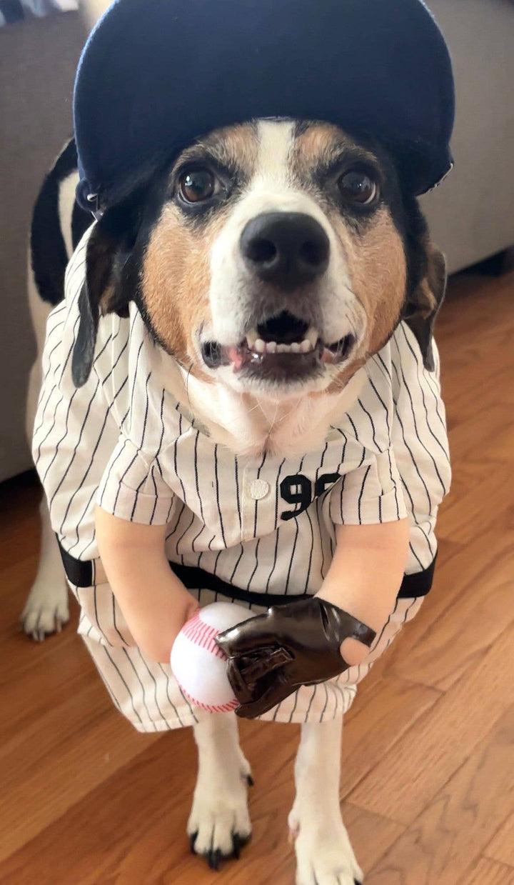Show & Tail - Pet Apparel - The Home Ruff: L