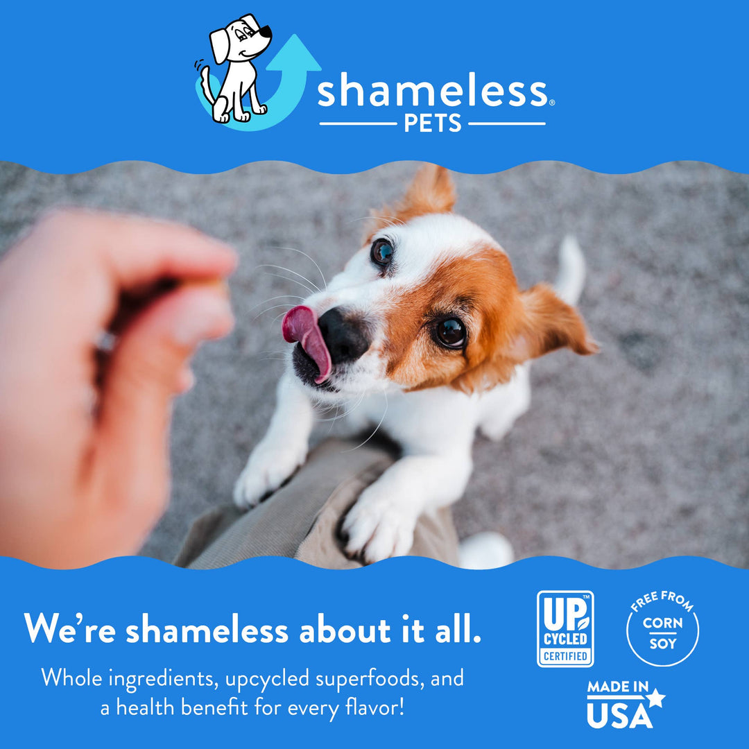 Shameless Pets - Peanut Butter Bliss Bone Broth Dog Training Treats