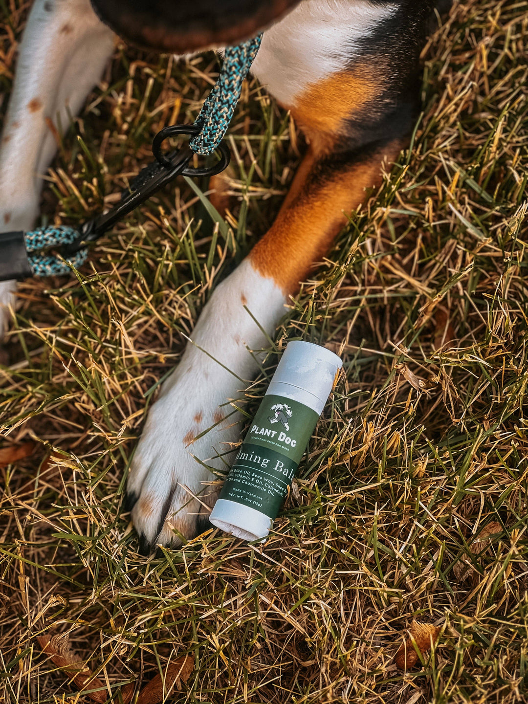 Plant Dog - Calming Paw Balm