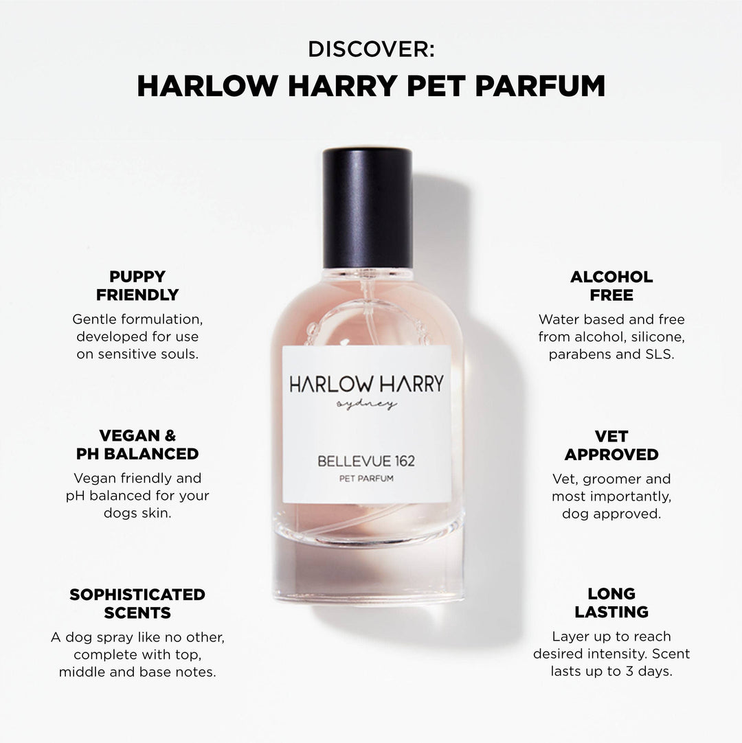 HARLOW HARRY - Dog Perfume | Bellevue 162: 50mL