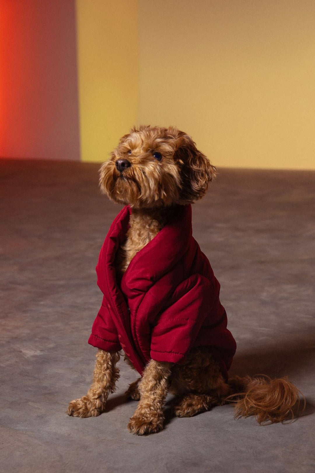 maxbone - Wrap Puffer Jacket : Berry / XL