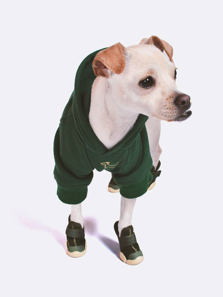 RIFRUF - Essential Dog Hoodie: Jade / XX-Small