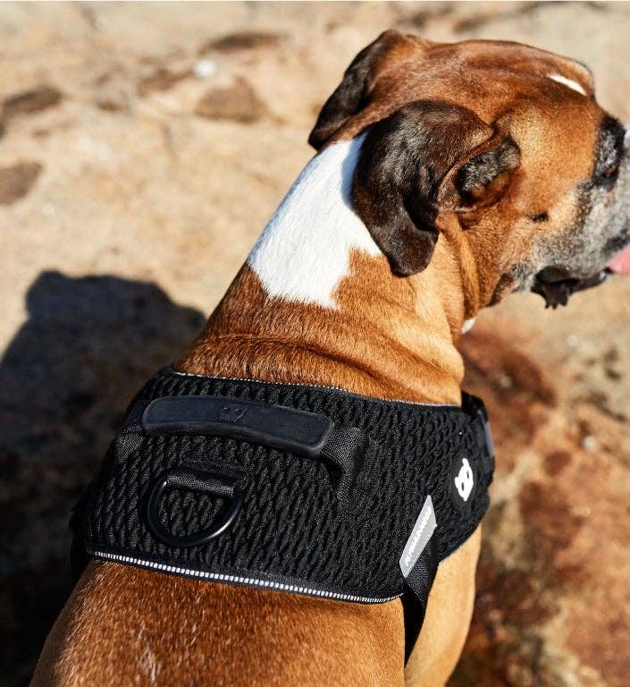 Zee.Dog - Gotham | FlyHarness: Size 4