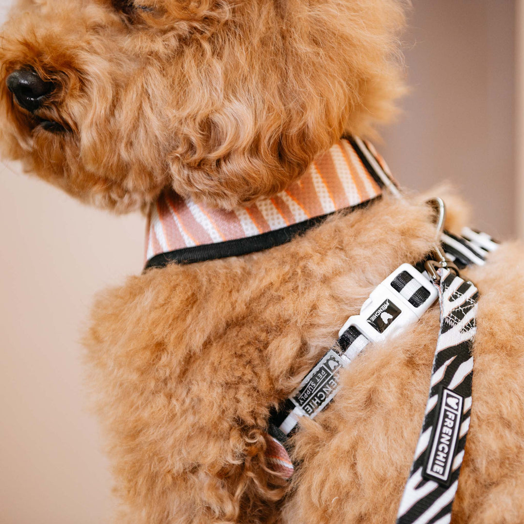 Frenchie - Frenchie Duo Reversible Harness - Zebra: Xsmall