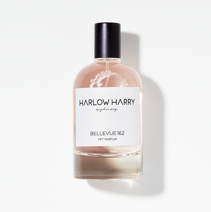 HARLOW HARRY - Dog Perfume | Bellevue 162: 50mL