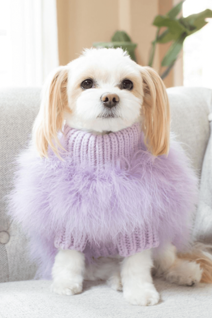 maxbone - Christian Cowan x maxbone Jumper for Dogs: Medium / Mint