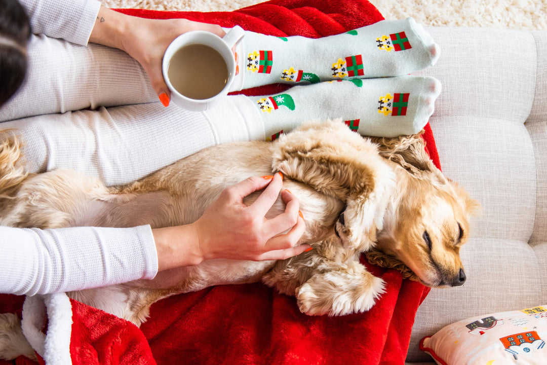 Pet Palette Distribution - Pearhead Corgi Holiday Socks Green One Size