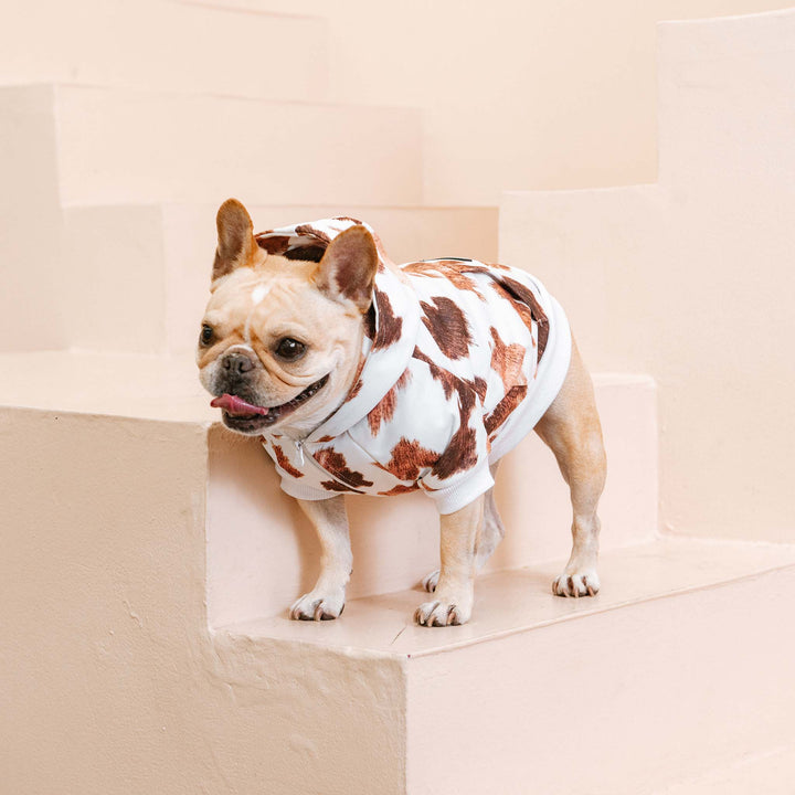 Frenchie - Frenchie Dog Hoodie - Moo: M