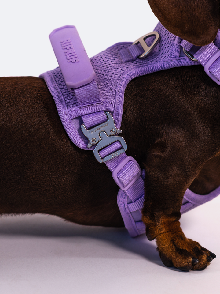 RIFRUF - Commuter Harness: Black / XS