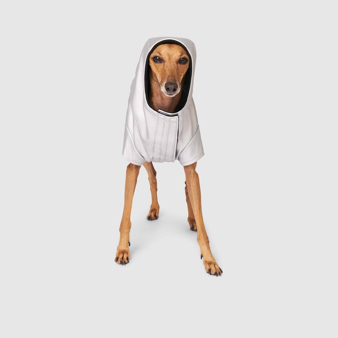 Canada Pooch - Cold Front Raincoat: Orange / 10