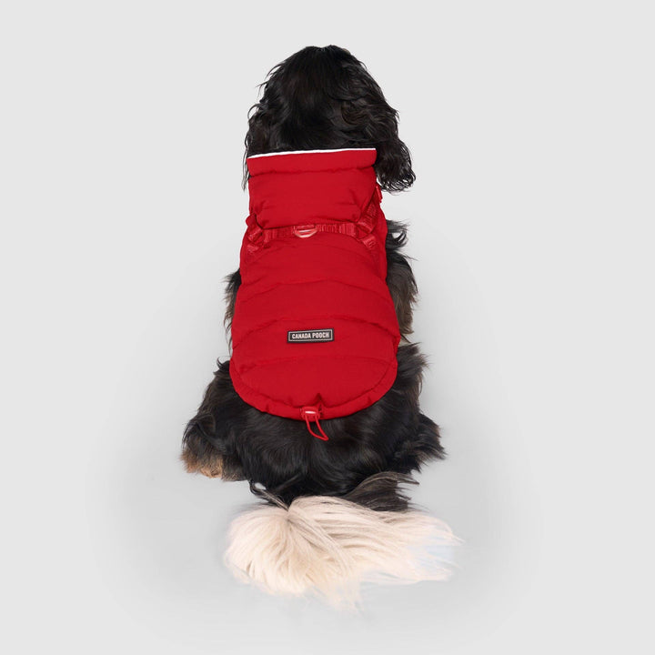 Canada Pooch - Harness Puffer Red