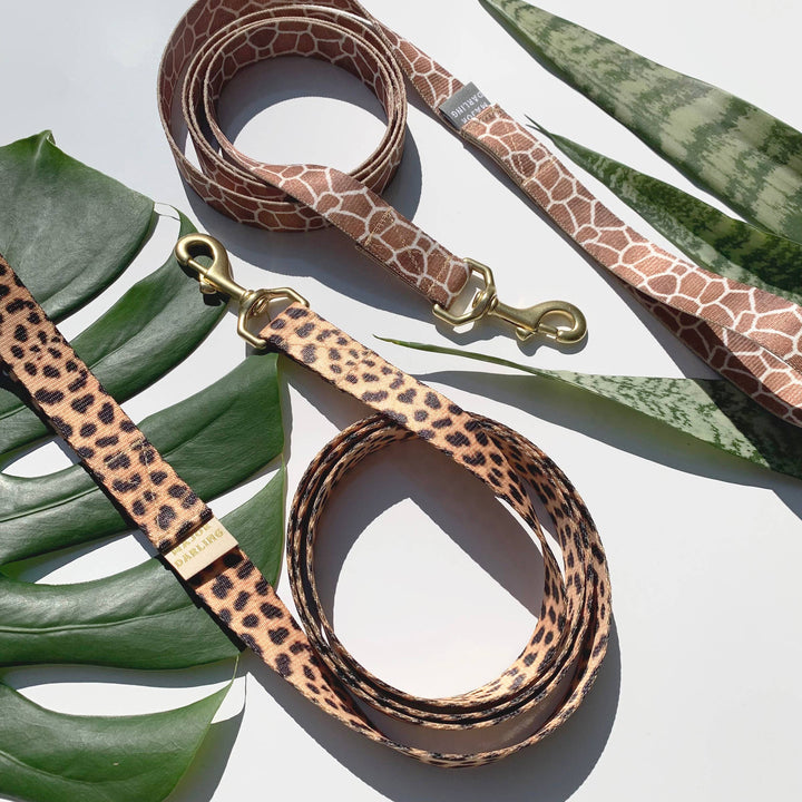 Major Darling - Leopard Print Leash